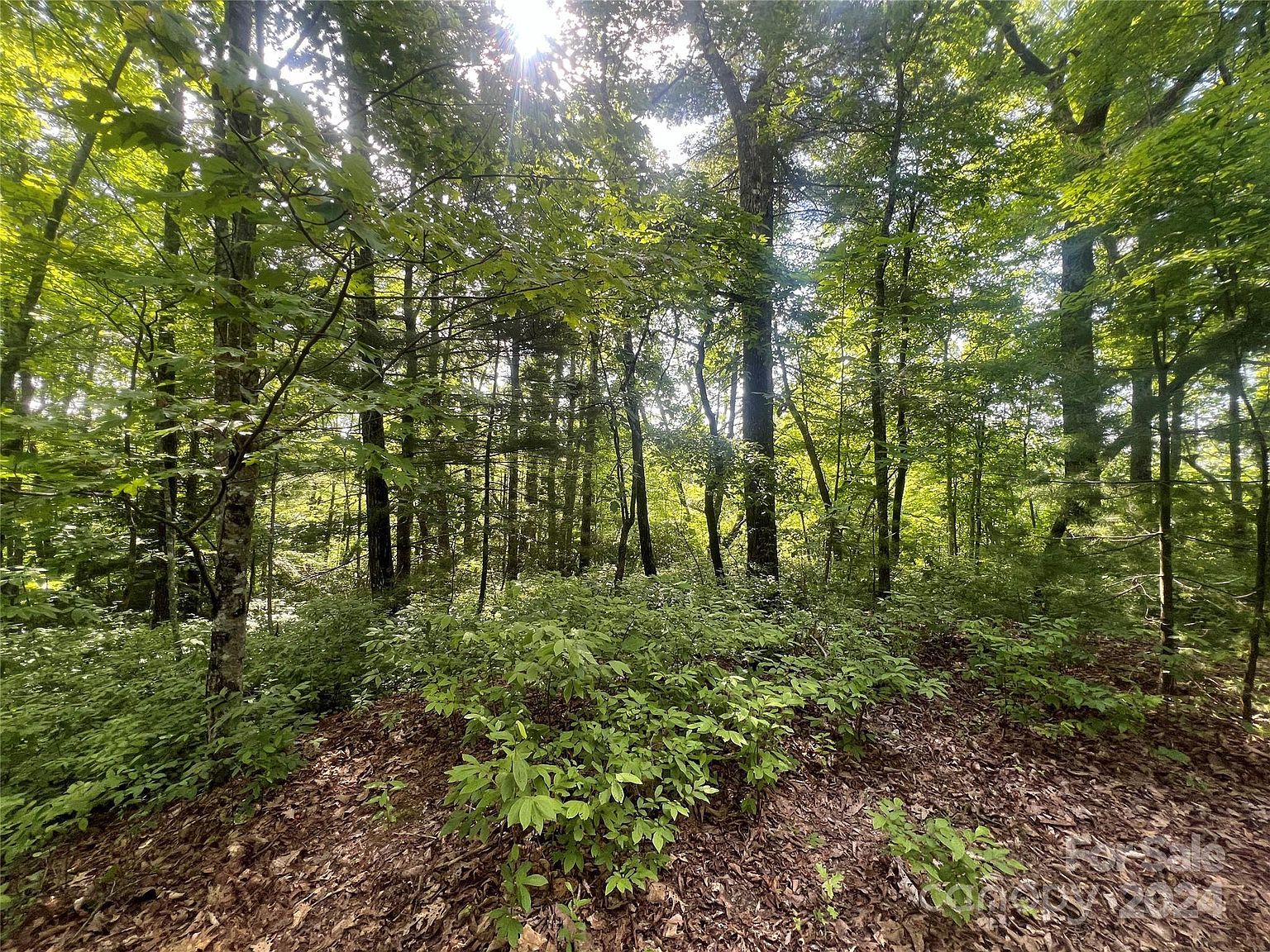 0 Laurel Thicket Brevard, NC 28712 - Thumbnail 4