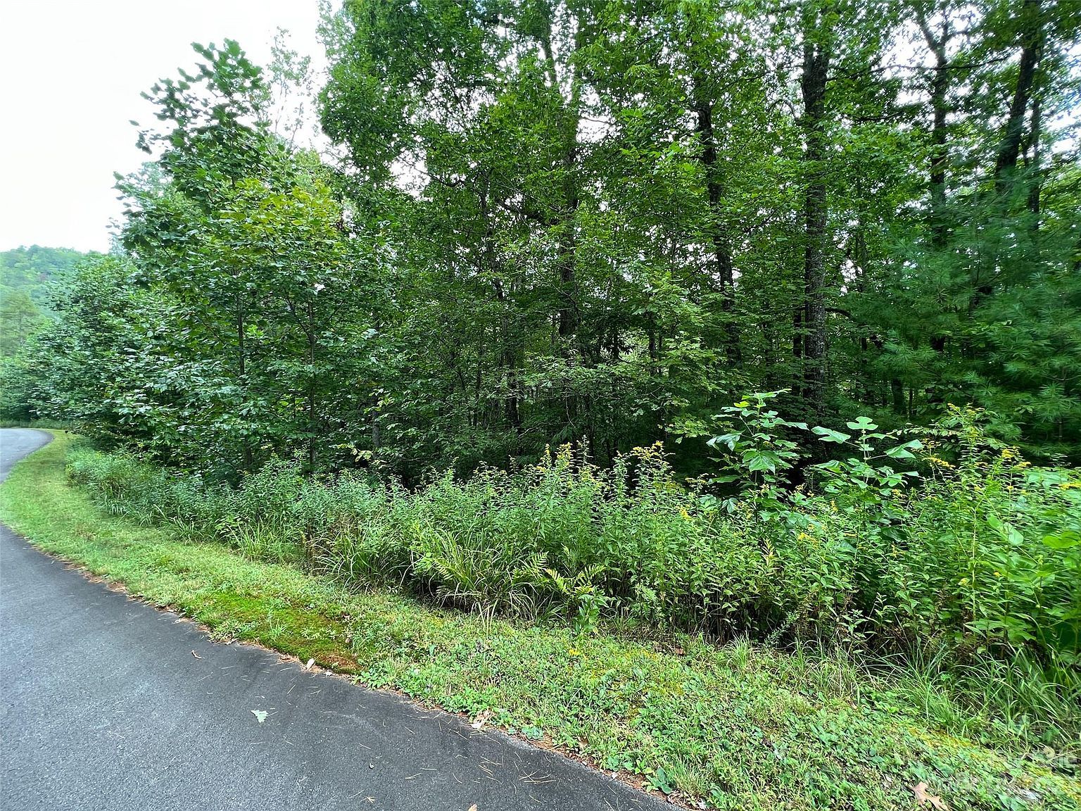 103 Laurel Thicket Brevard, NC 28712  | Land/Lot