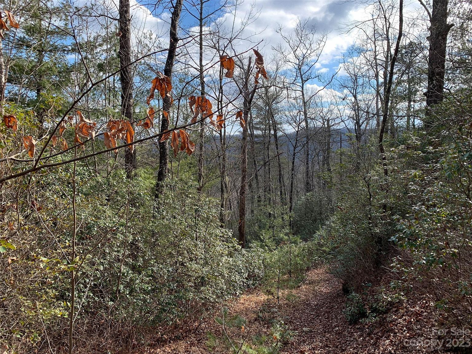 91 Laurel Thicket Brevard, NC 28712 - Thumbnail 4