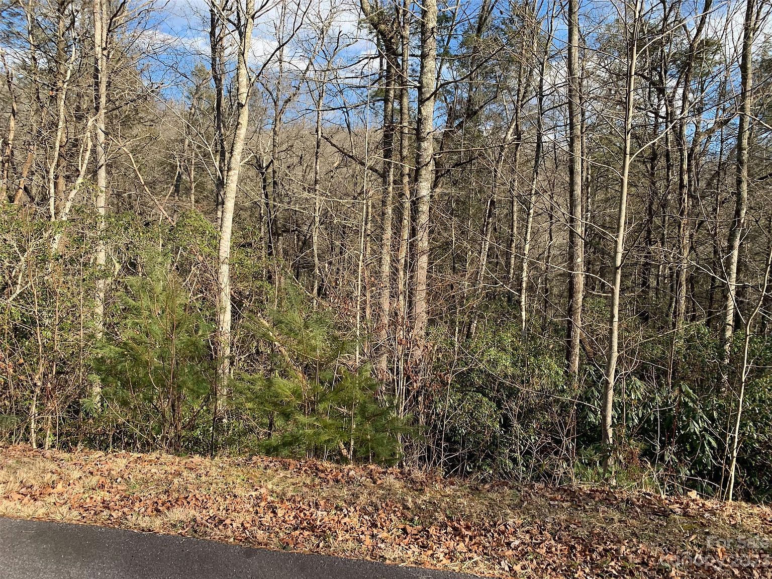 126 Green Hollow Ln Brevard, NC 28712 - Thumbnail 4