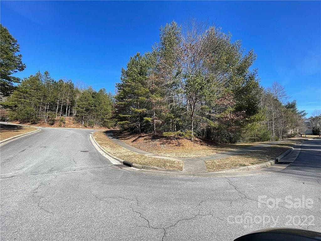 V30 Blueberry Hill Rd Brevard, NC 28712 - Thumbnail 4