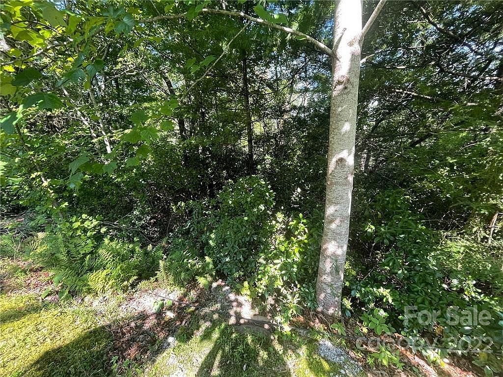 99999 Pine Mountain Trl #M37 Brevard, NC 28712 - Thumbnail 4