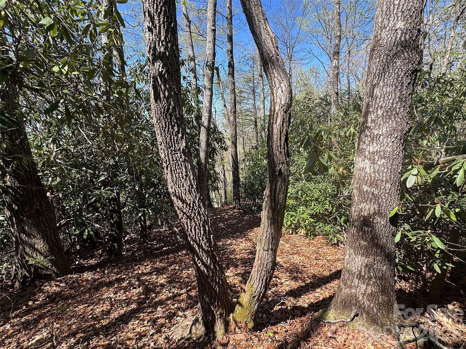 33 Reserve Rd #33 Pisgah Forest, NC 28768 - Thumbnail 4