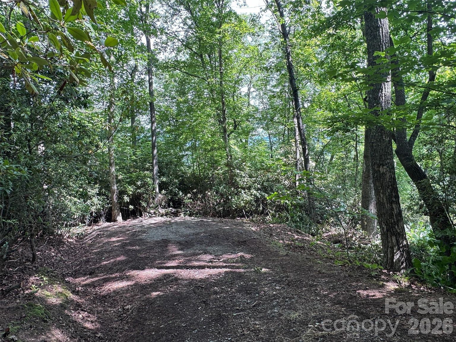 10A Reserve Rd Pisgah Forest, NC 28768 - Thumbnail 4
