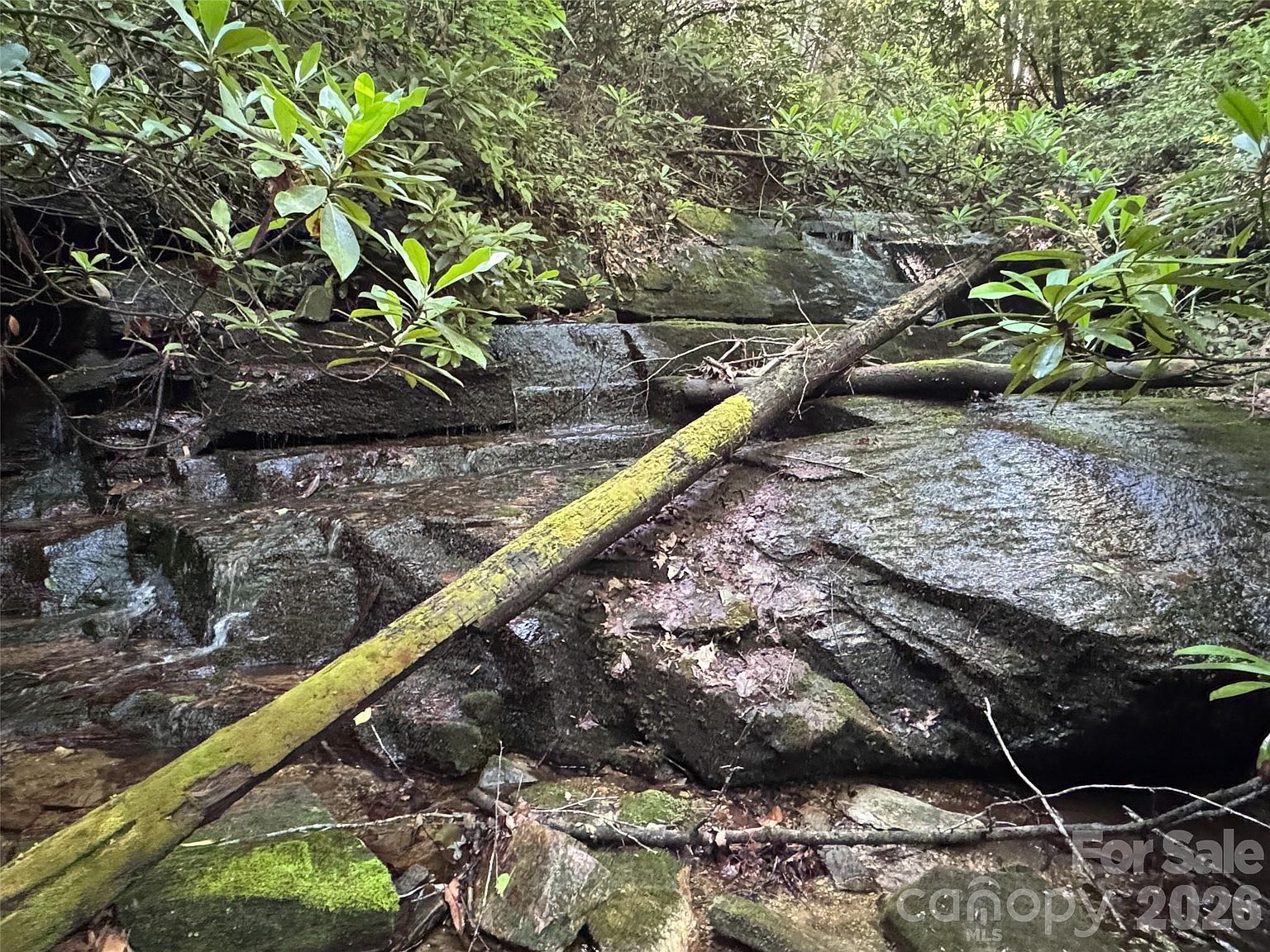 0 Chestnut Oak Ln Pisgah Forest, NC 28768 - Thumbnail 4
