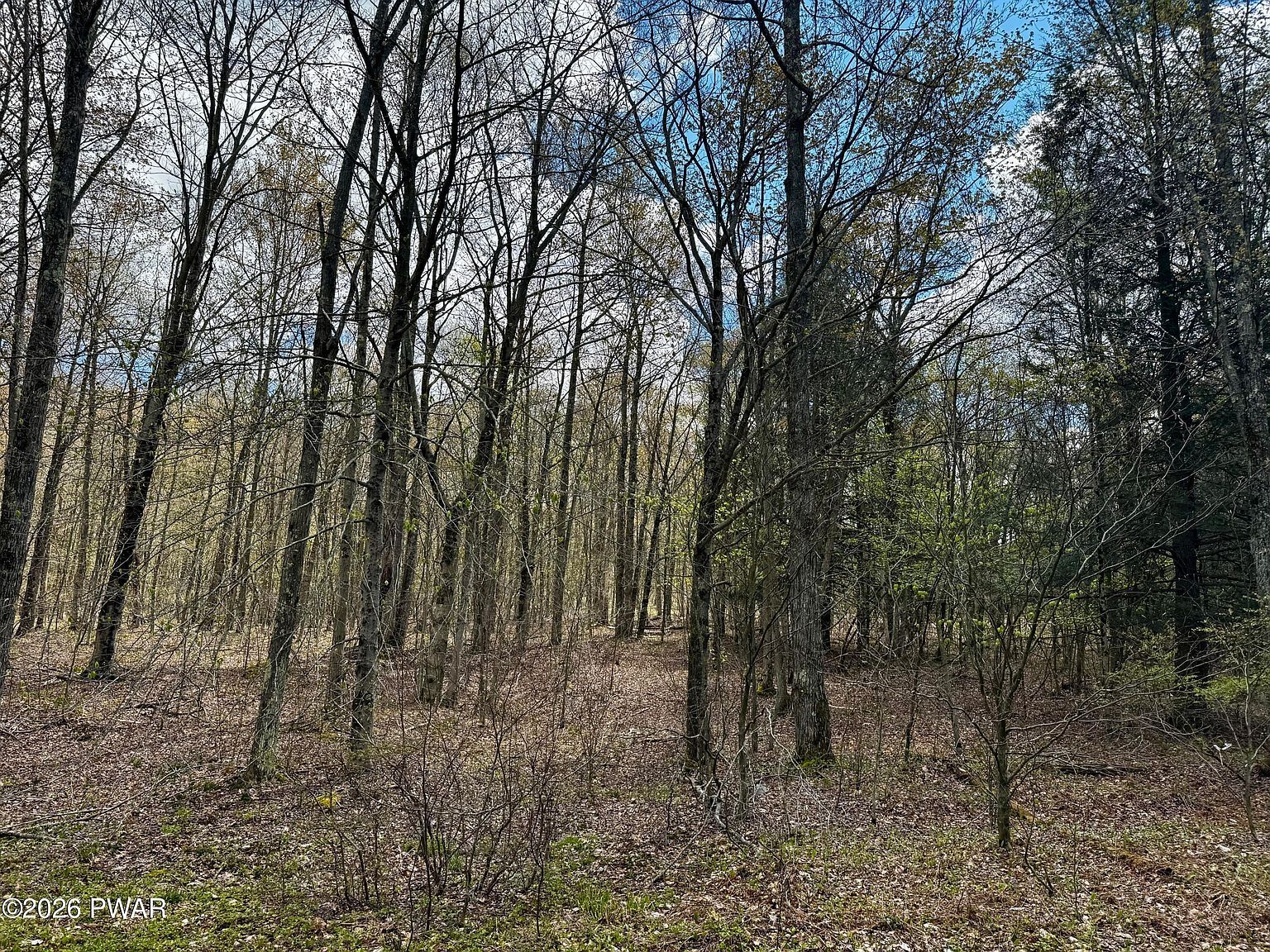 Pleasant Mount Dr Forest City, PA 18421 - Thumbnail 4