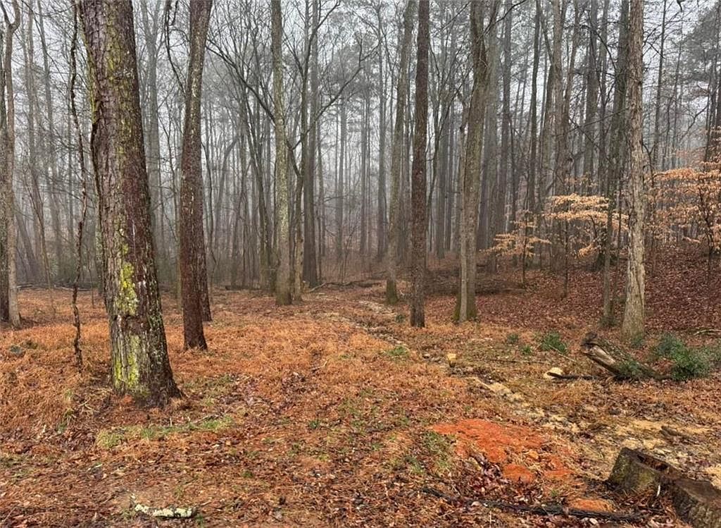 138 Oak Beach Dr SE #246 Acworth, GA 30101  | Land/Lot