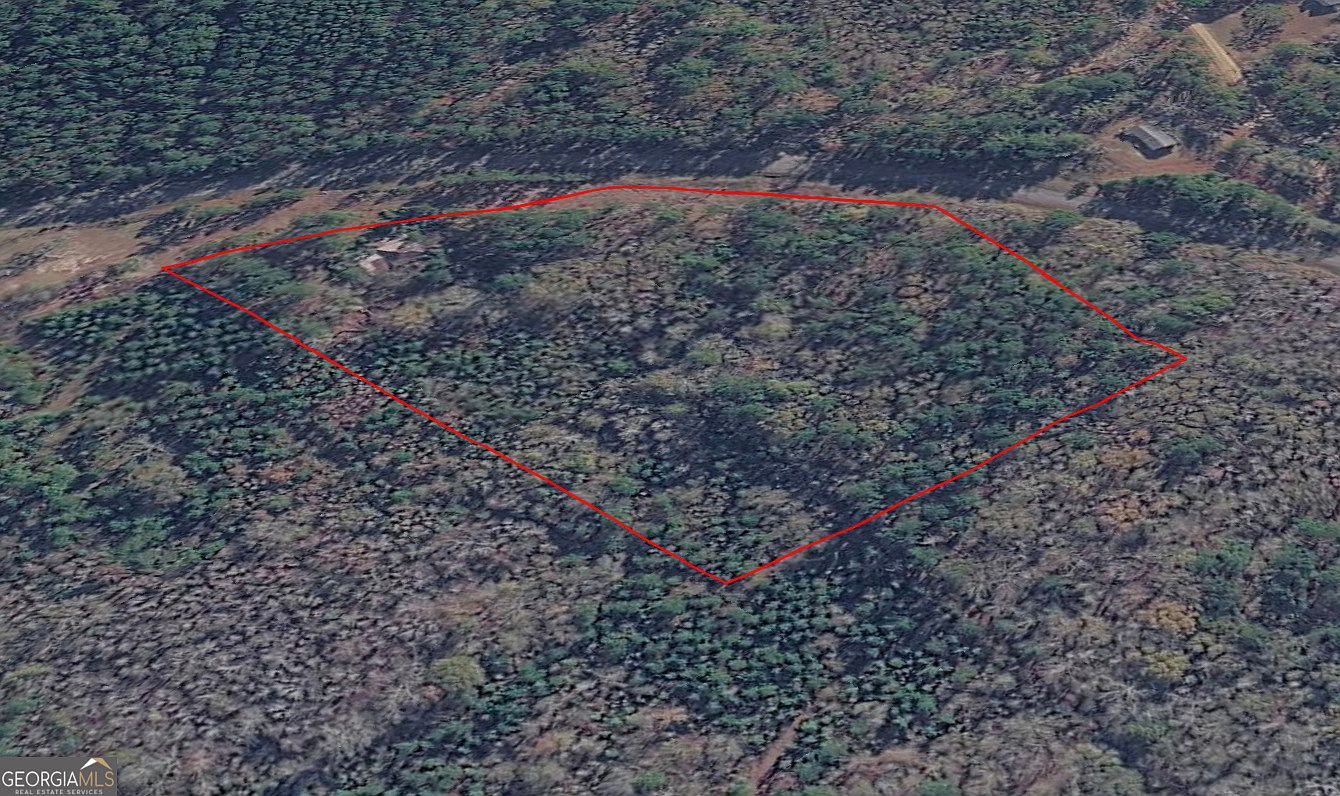 0 Wadley Coleman Lake Rd Midville, GA 30441 - Thumbnail 4