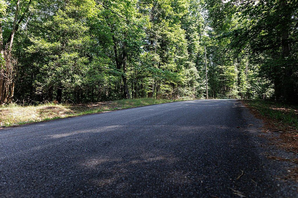 269 Seneca Dr Ellijay, GA 30540 - Thumbnail 4