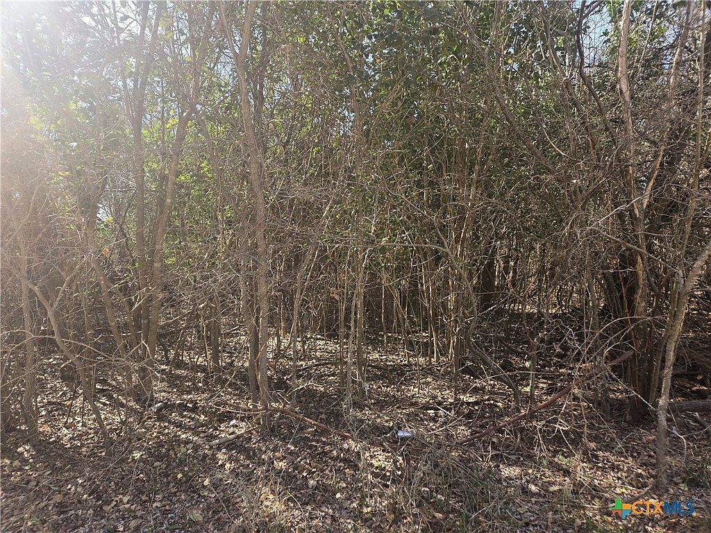 Estate Trl Belton, TX 76513  | Land/Lot