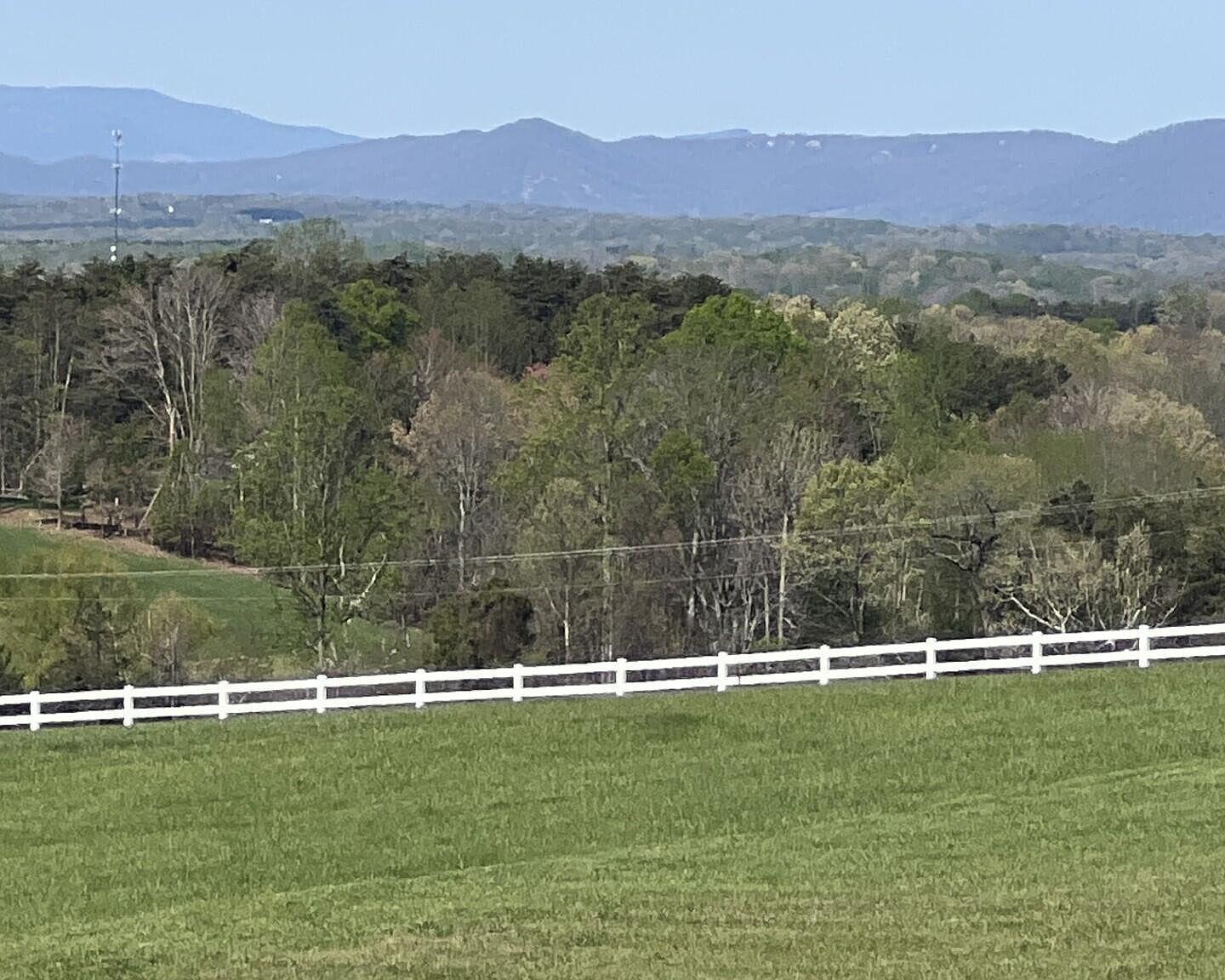 1147 Hickory Cove Ln Moneta, VA 24121 - Thumbnail 4