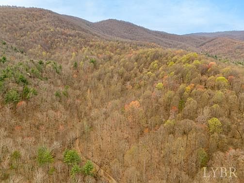 0 Adventure Mountain Rd Montvale, VA 24122 - Thumbnail 4