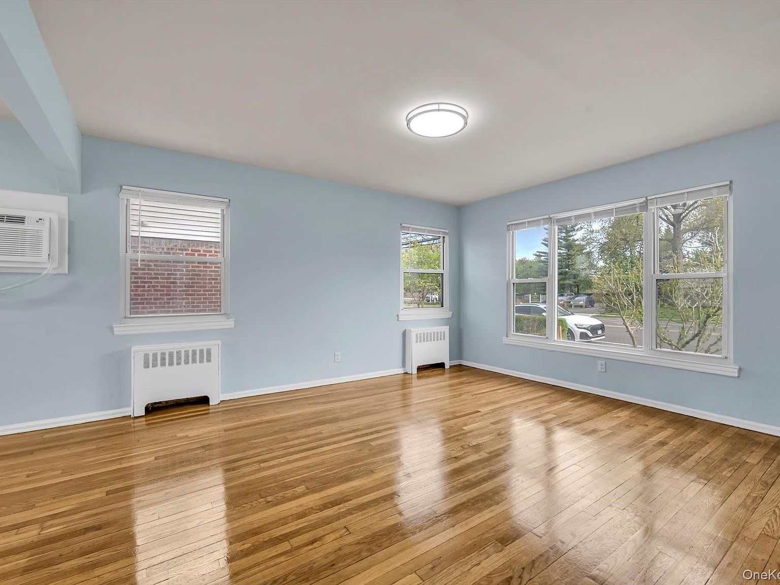 382 Old Country Rd Mineola, NY 11501 - Thumbnail 4