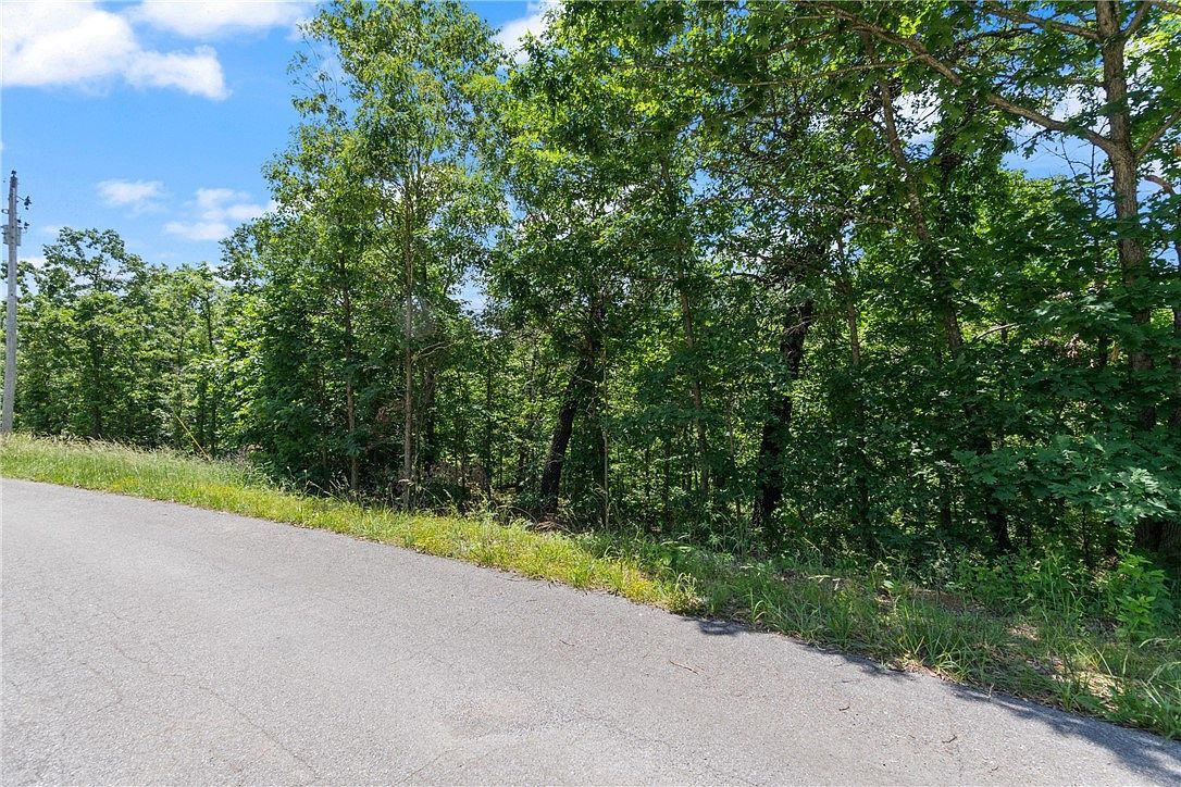 Kirkcolm Cir #6 Bella Vista, AR 72715 - Thumbnail 4