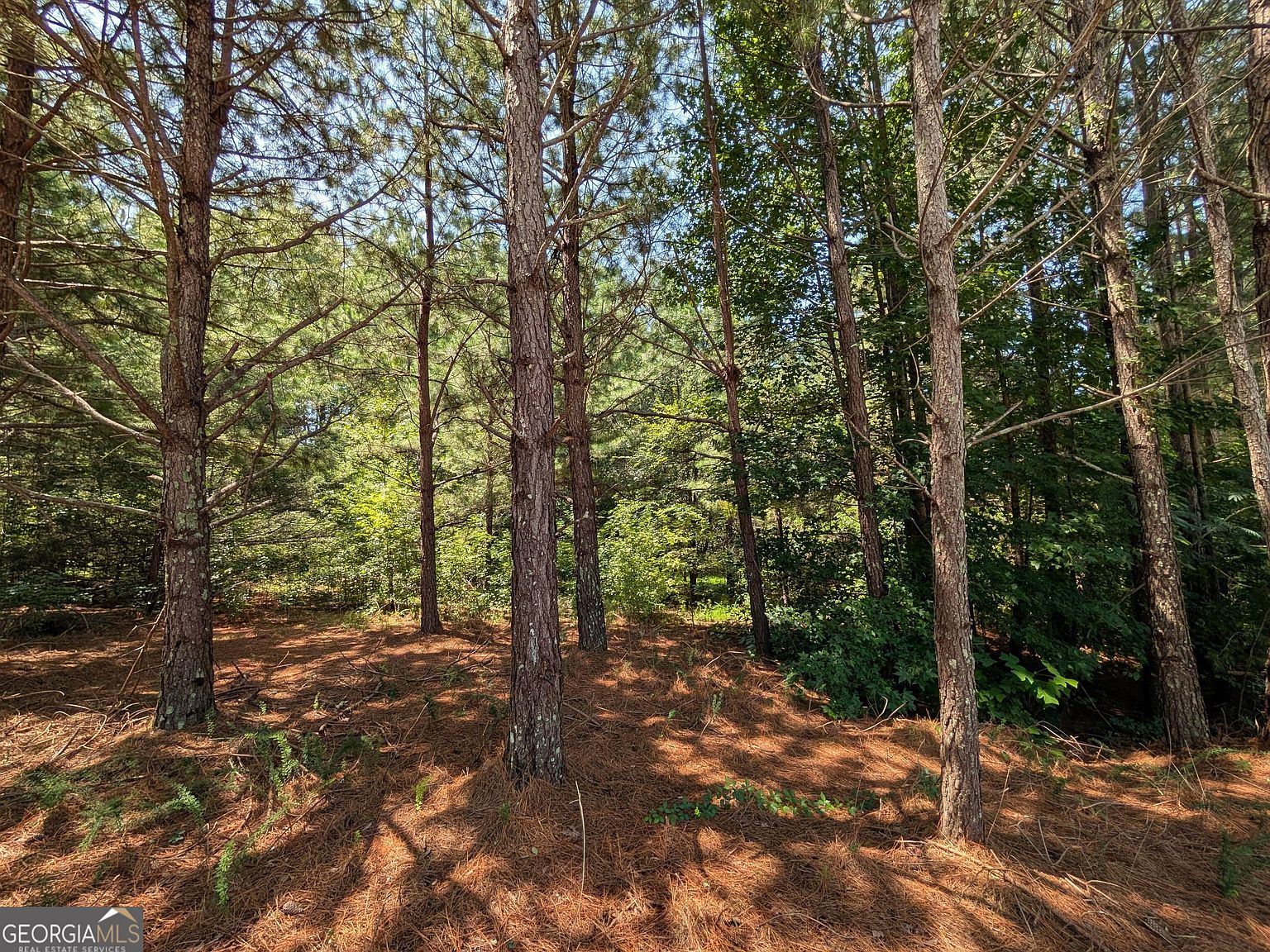 0 Brookmont Pkwy Douglasville, GA 30135 - Thumbnail 4