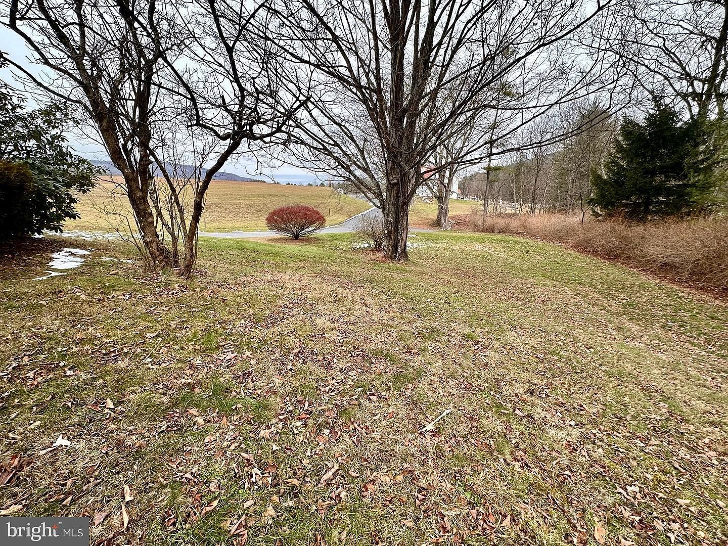 242 Gracey Rd Waterfall, PA 16689 - Thumbnail 4