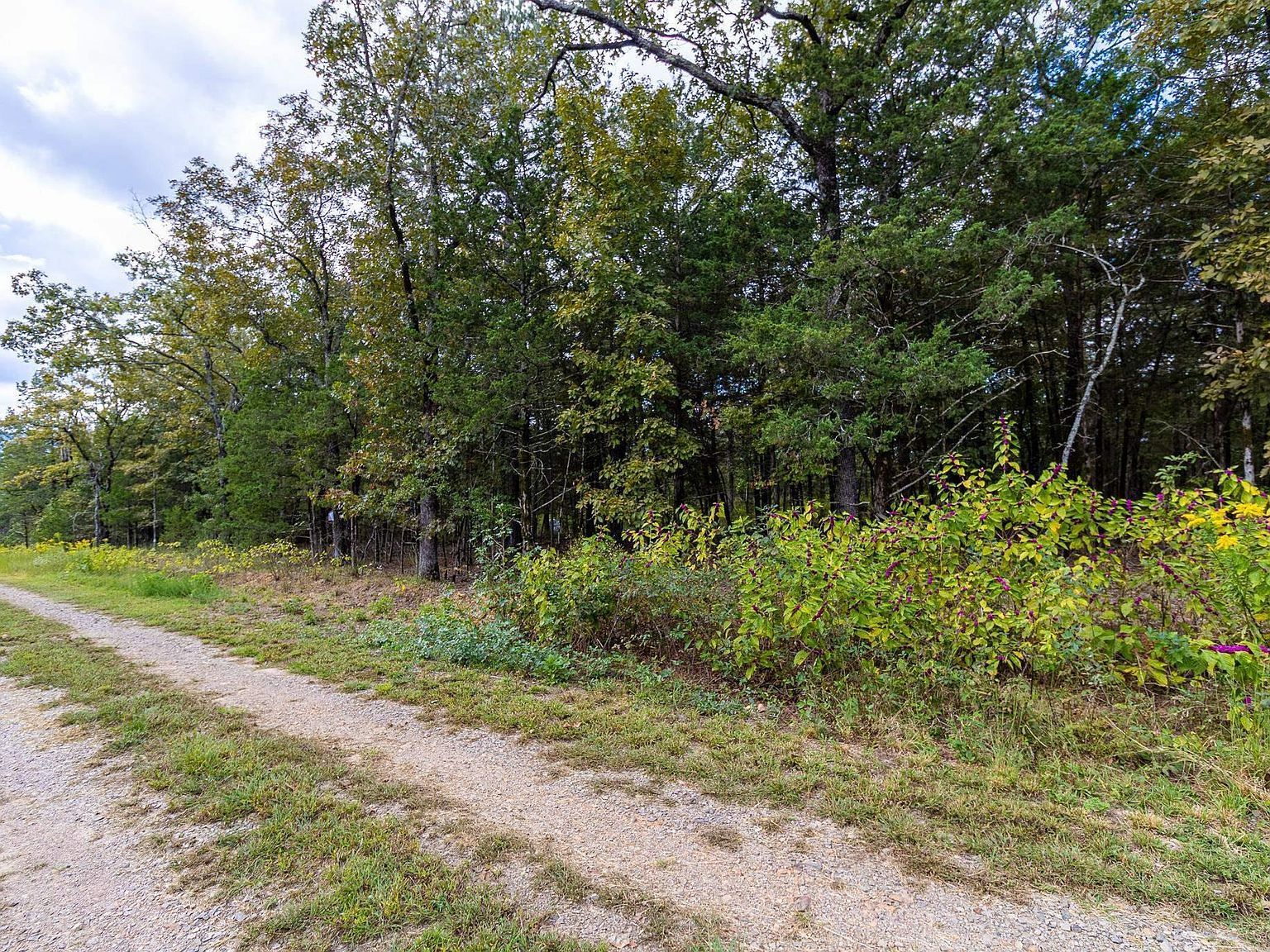 527 Thompson Bay Rd New Blaine, AR 72851 - Thumbnail 4