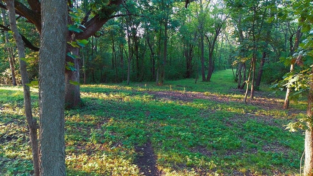 12245 NE 68th St Bondurant, IA 50035 - Thumbnail 4