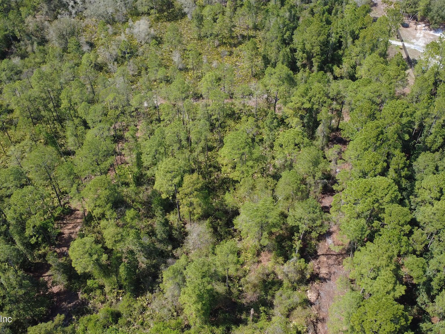 113 Seminole Pl Satsuma, FL 32189 - Thumbnail 4