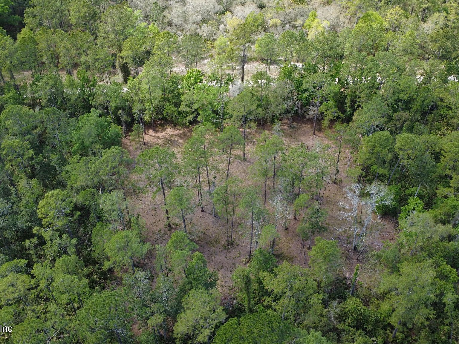 178 Sumter Rd Satsuma, FL 32189 - Thumbnail 4