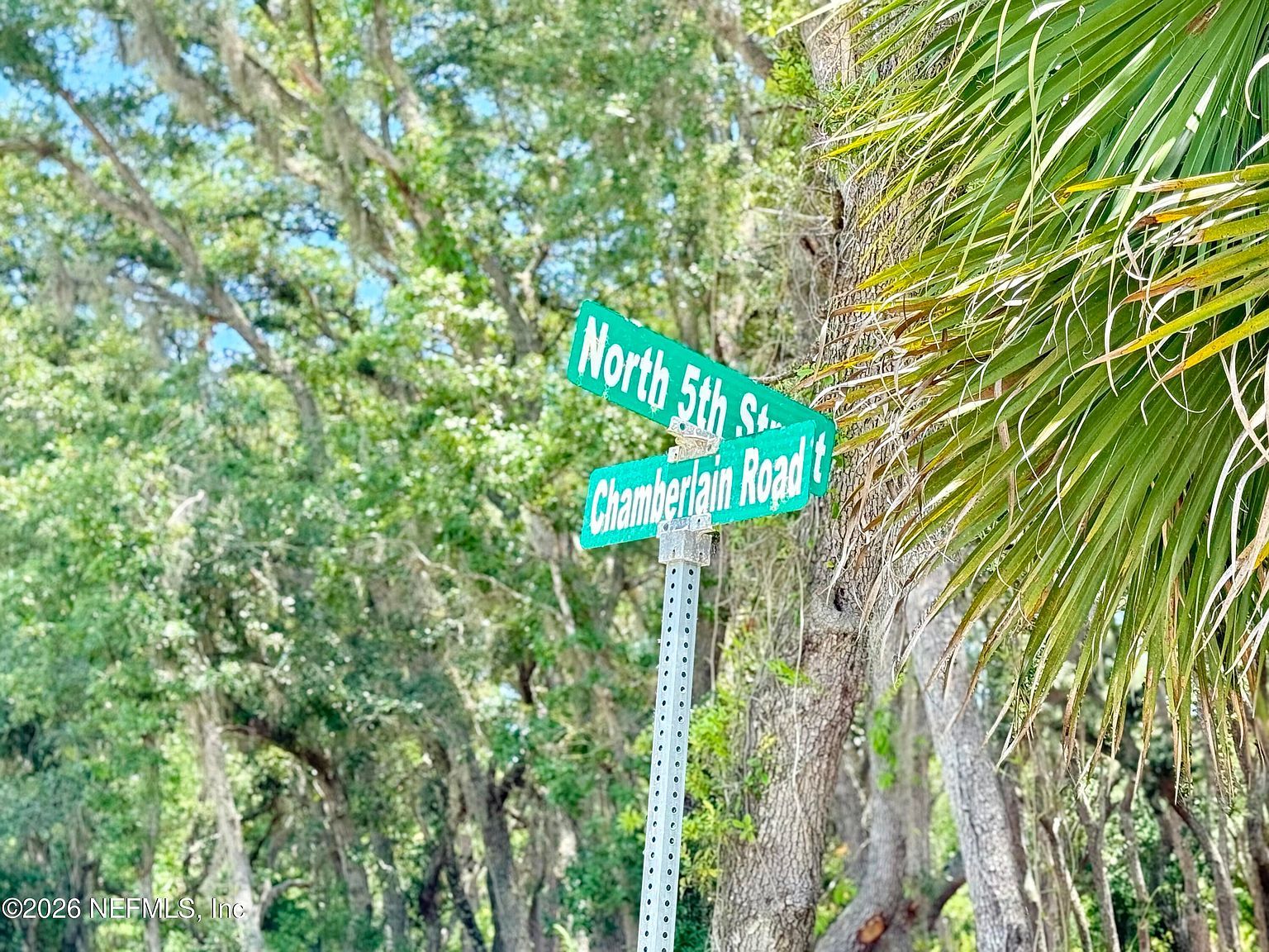 438 Chamberlain Rd Satsuma, FL 32189 - Thumbnail 4