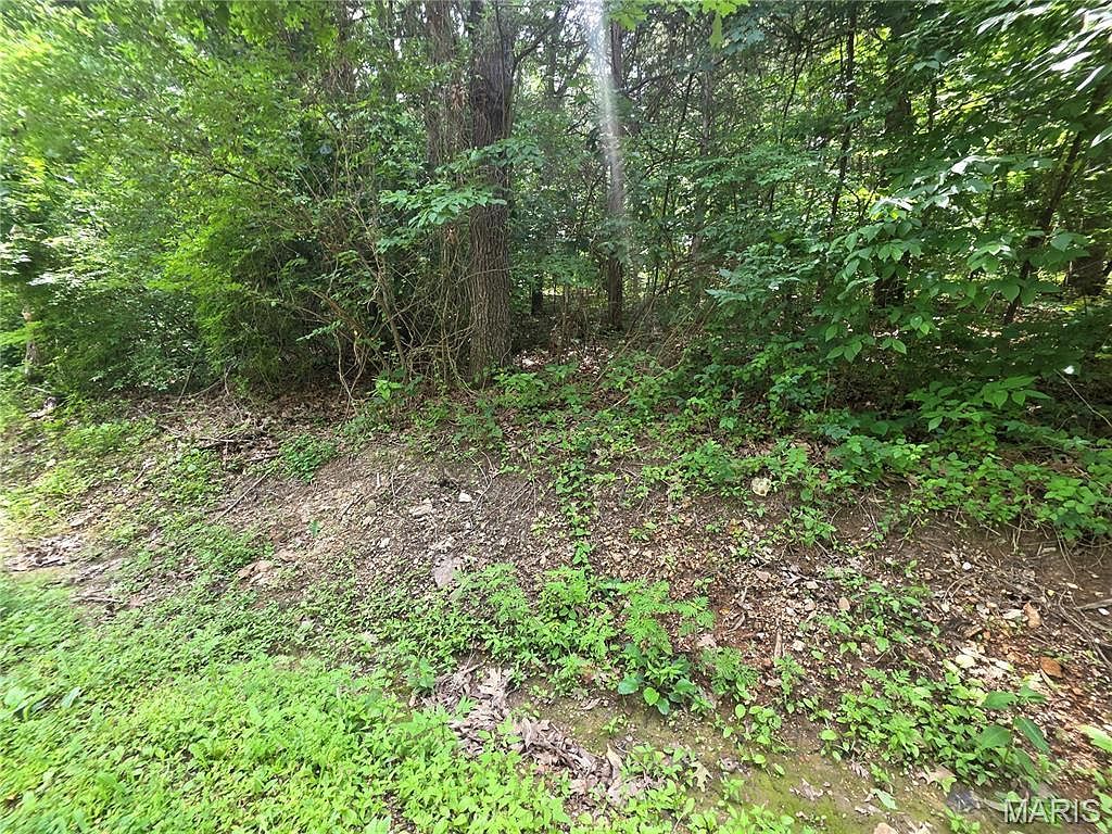 0 S Lakeshore Dr Hillsboro, MO 63050 - Thumbnail 4