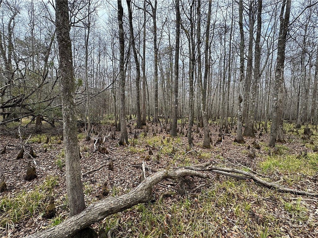 0 Old Highway 204 Bloomingdale, GA 31302 - Thumbnail 4