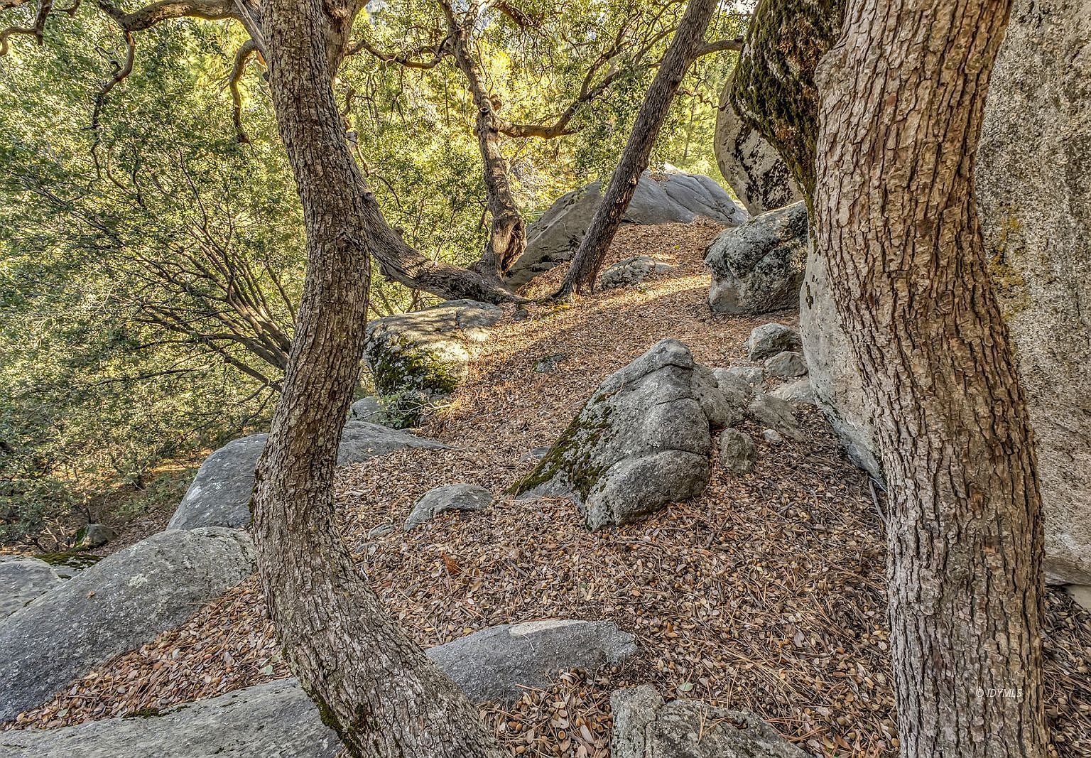 Jeffery Pine Rd Idyllwild, CA 92549 - Thumbnail 4