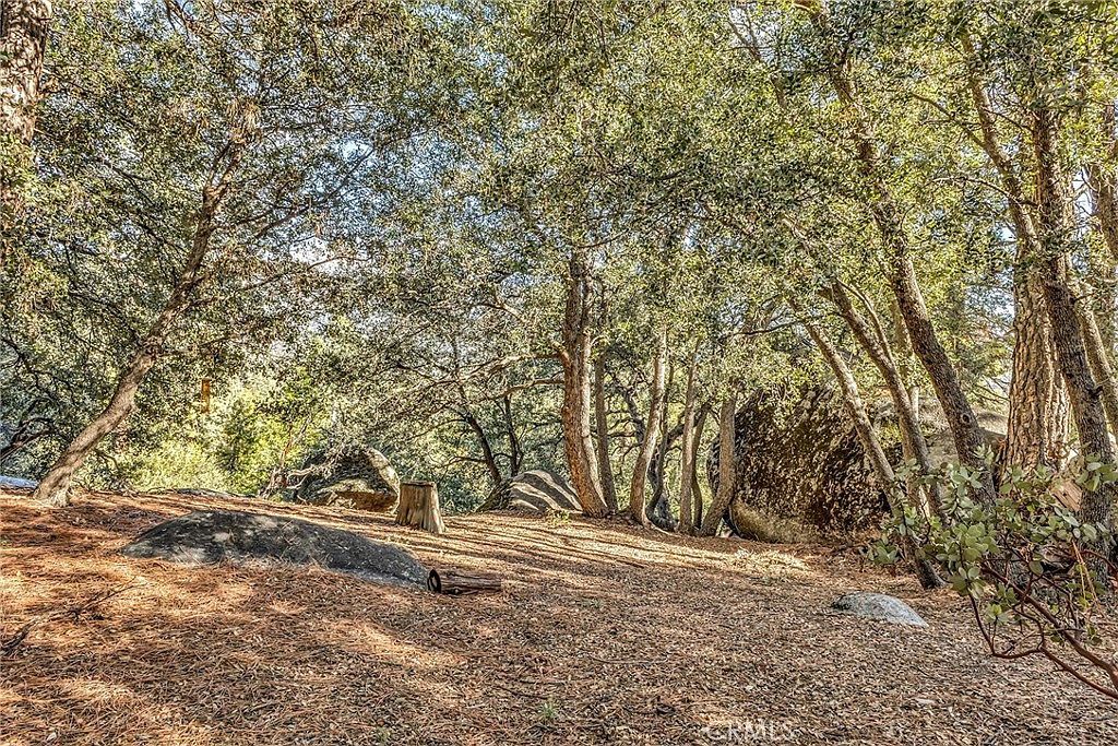 0 Jeffery Pine Rd Lot 36 Idyllwild, CA 92549 - Thumbnail 4