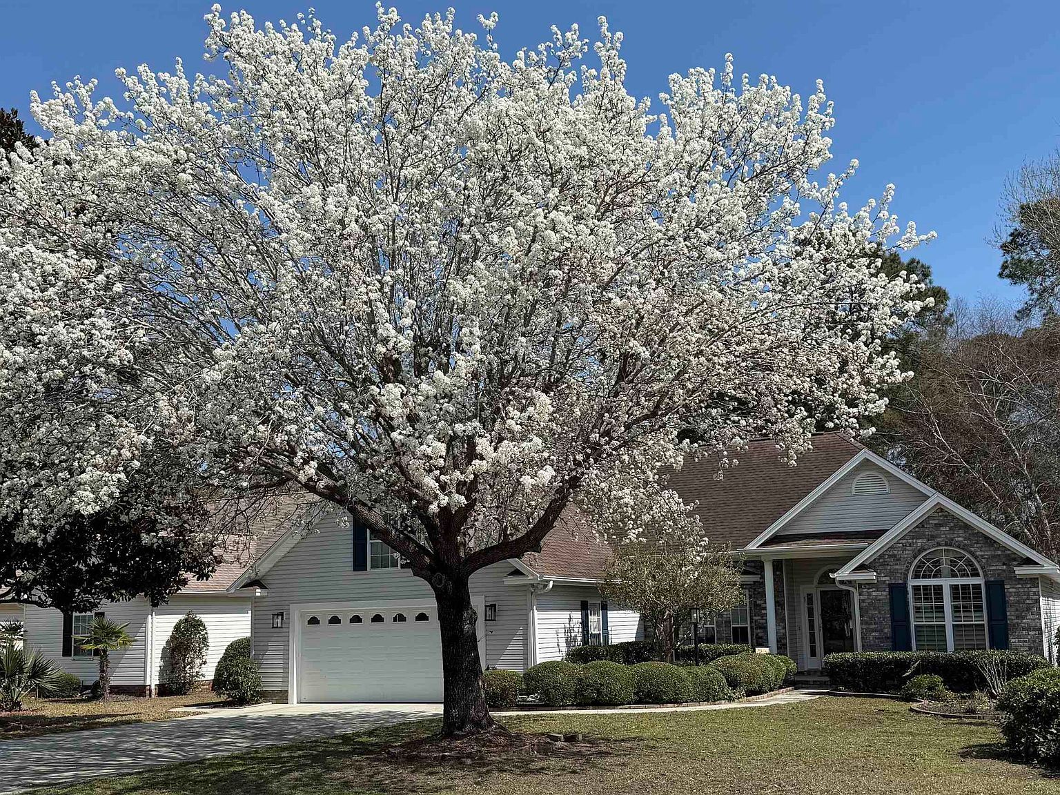 9592 Indigo Creek Blvd Murrells Inlet, SC 29576 - Thumbnail 4