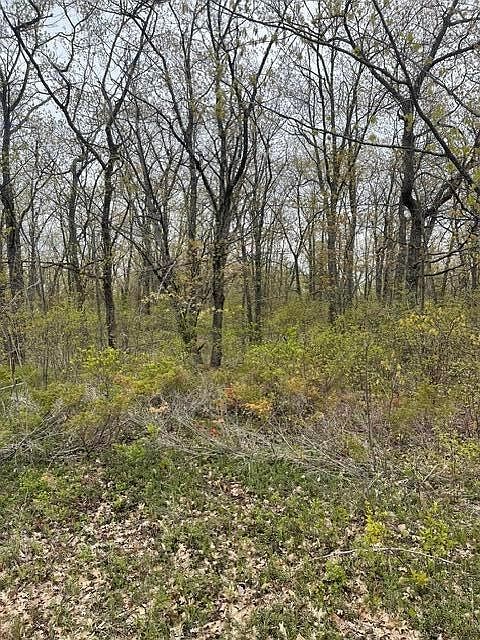 LOT 130 Highland Pines Rd Presque Isle, MI 49777 - Thumbnail 4