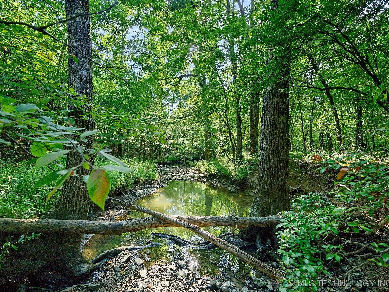 66 Aged Acacia Trl Broken Bow, OK 74728 - Thumbnail 4