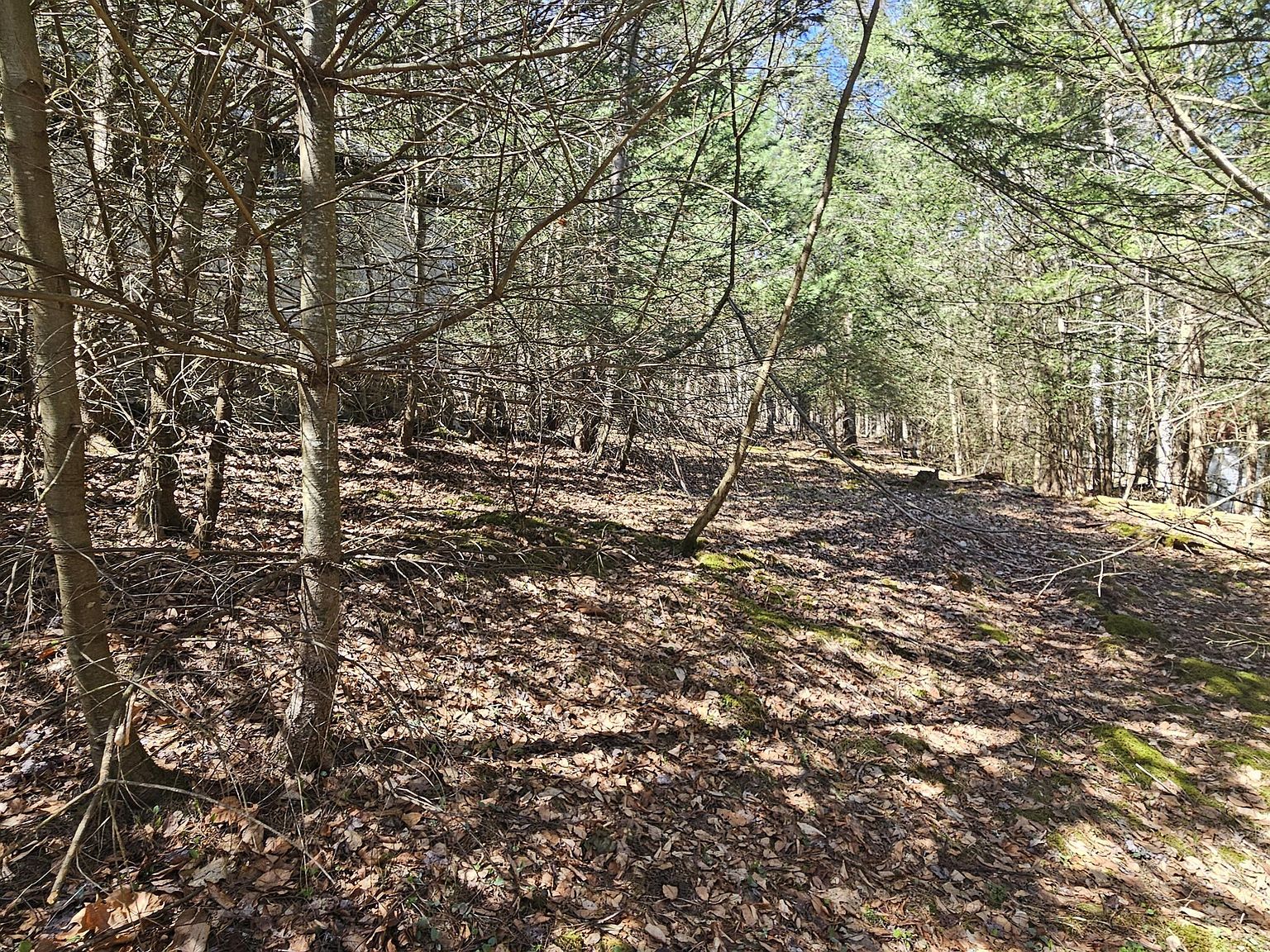 4 First Fork Rd Sinnamahoning, PA 15861 - Thumbnail 4