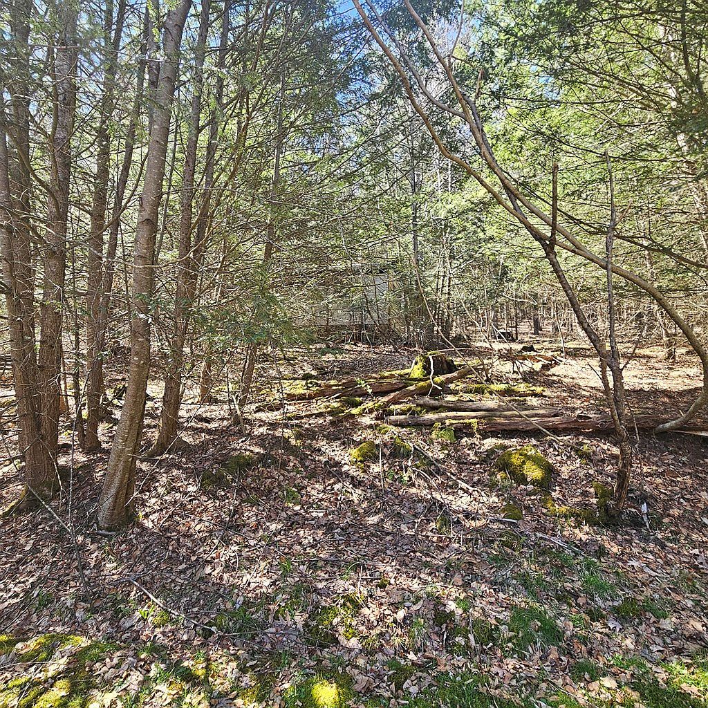0 First Fork Rd Sinnamahoning, PA 15861 - Thumbnail 4