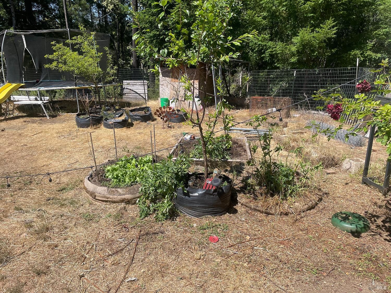 36000 Nash Mill Rd Philo, CA 95466 - Thumbnail 4