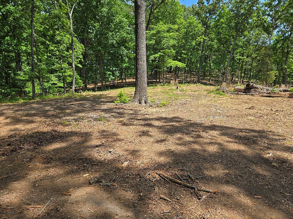 730 Swan Bay Dr Buchanan, TN 38222 - Thumbnail 4