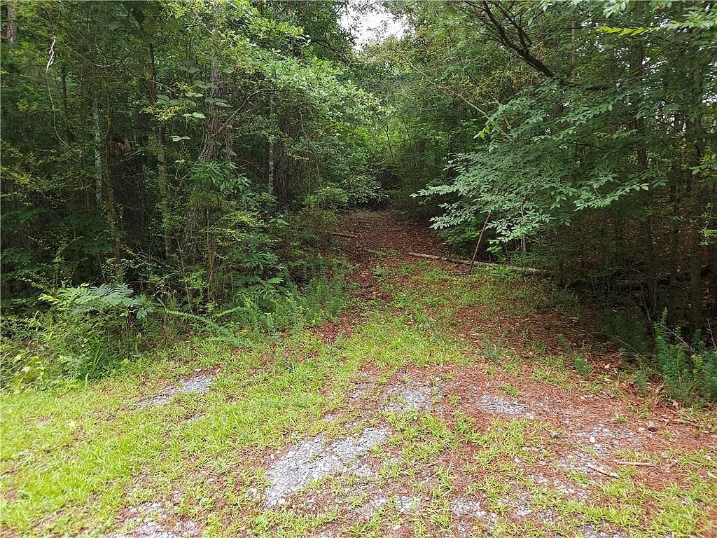 0 Potash Rd #19A019 Cedartown, GA 30125 - Thumbnail 4