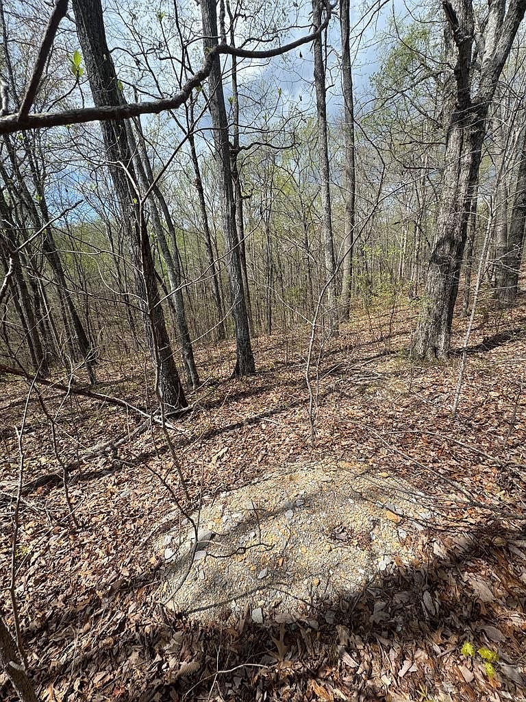 345 Drew Ct #345 Smithville, TN 37166 - Thumbnail 4