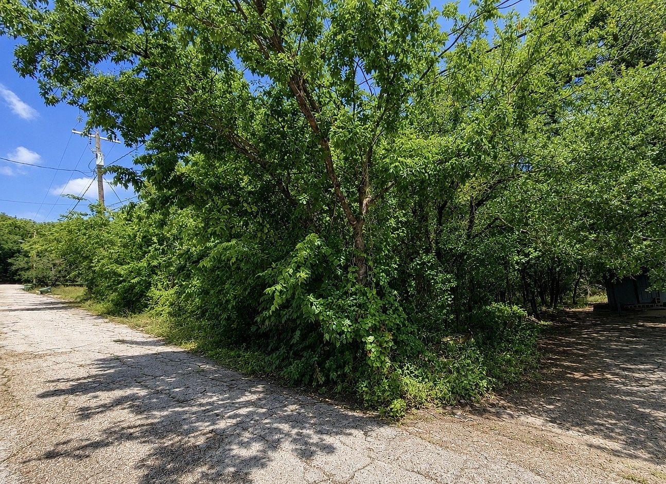 0 NW 10th St Mineral Wells, TX 76067 - Thumbnail 4