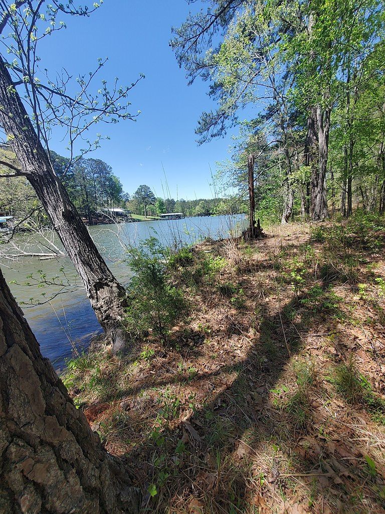 390 Abercrombie Point Greenwood, SC 29649 - Thumbnail 4