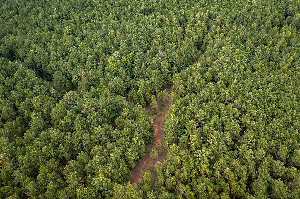 0 Center St Abbeville, SC 29620 - Thumbnail 4