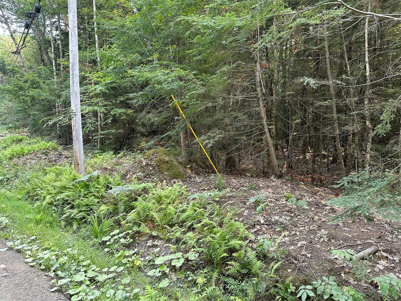 37 Cottage Shore Dr Holden, ME 04429 - Thumbnail 4