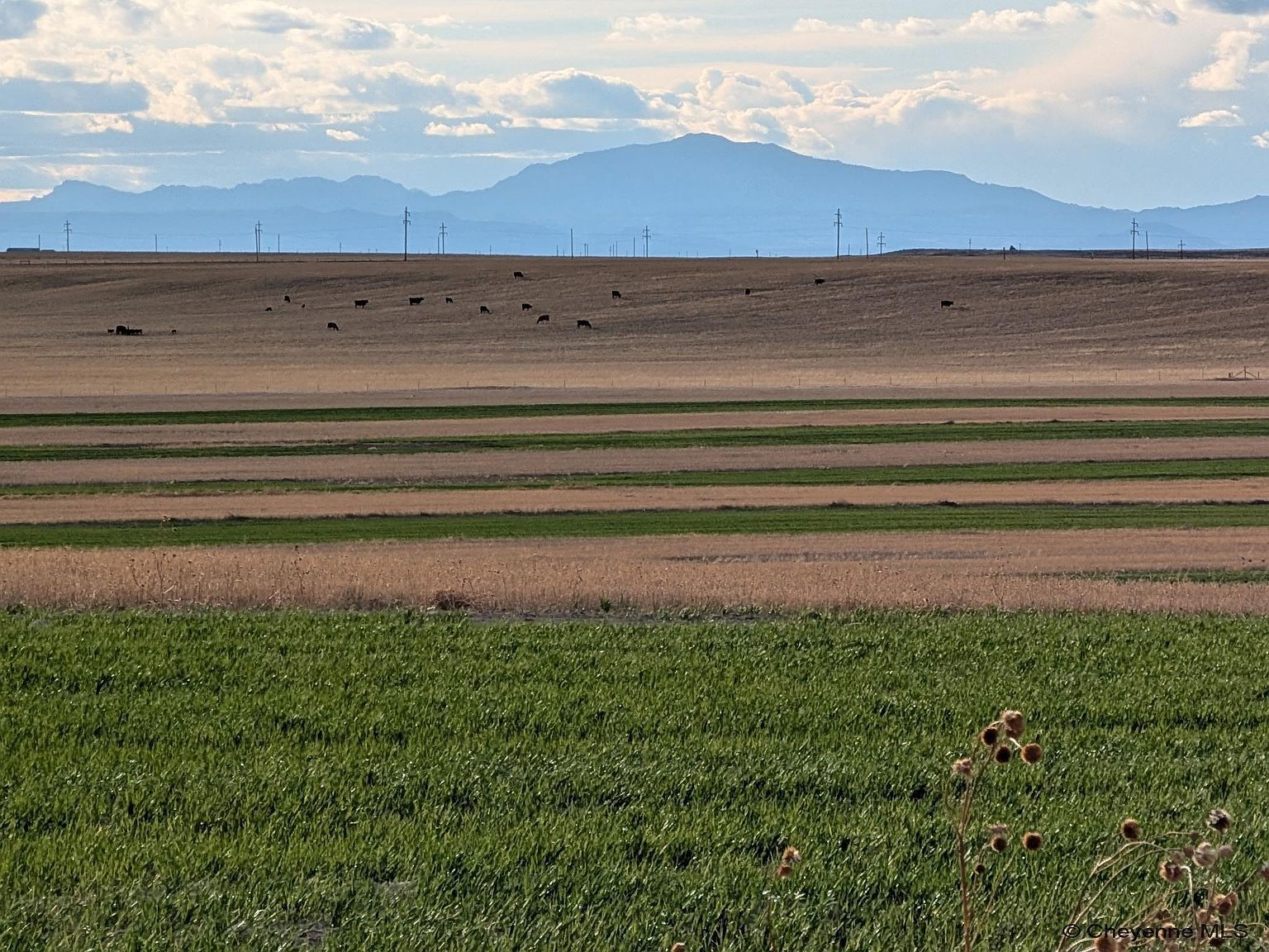 Harvey Rd Wheatland, WY 82201 - Thumbnail 4