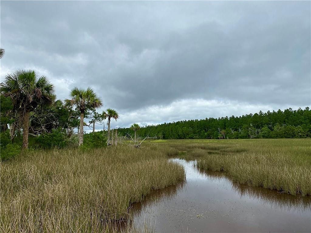 0 Timber Landing Rd Brunswick, GA 31523 - Thumbnail 4