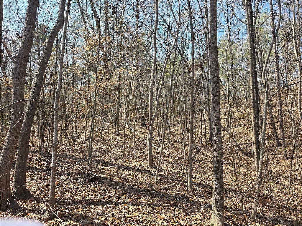 759 Durham Brown Rd Seneca, SC 29678 - Thumbnail 4