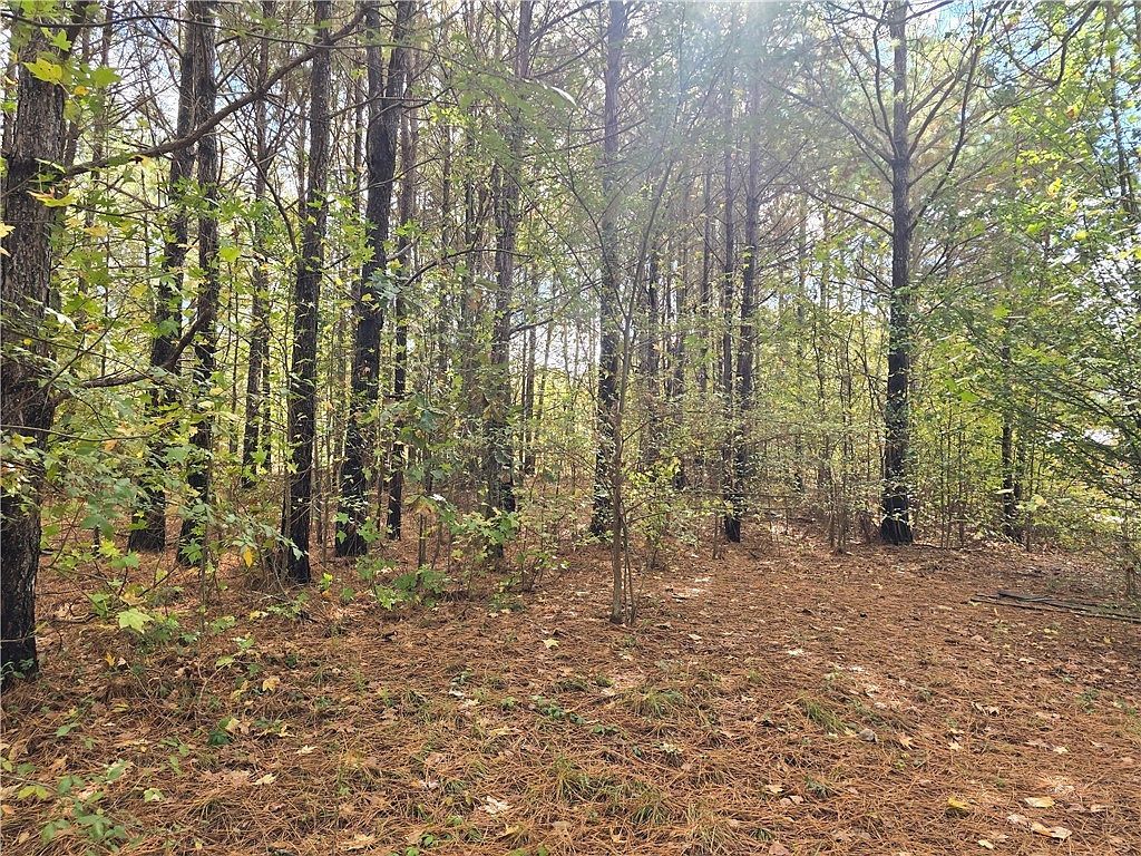 0 Dogwood Ln Townville, SC 29689 - Thumbnail 4