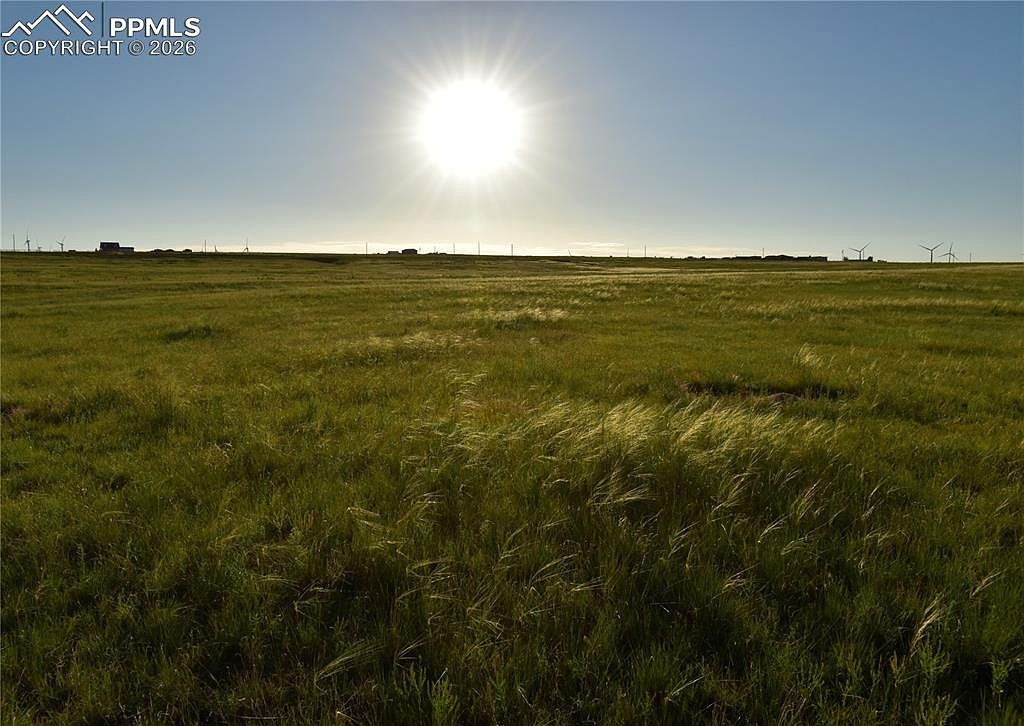 9545 N Yoder Rd Calhan, CO 80808 - Thumbnail 4