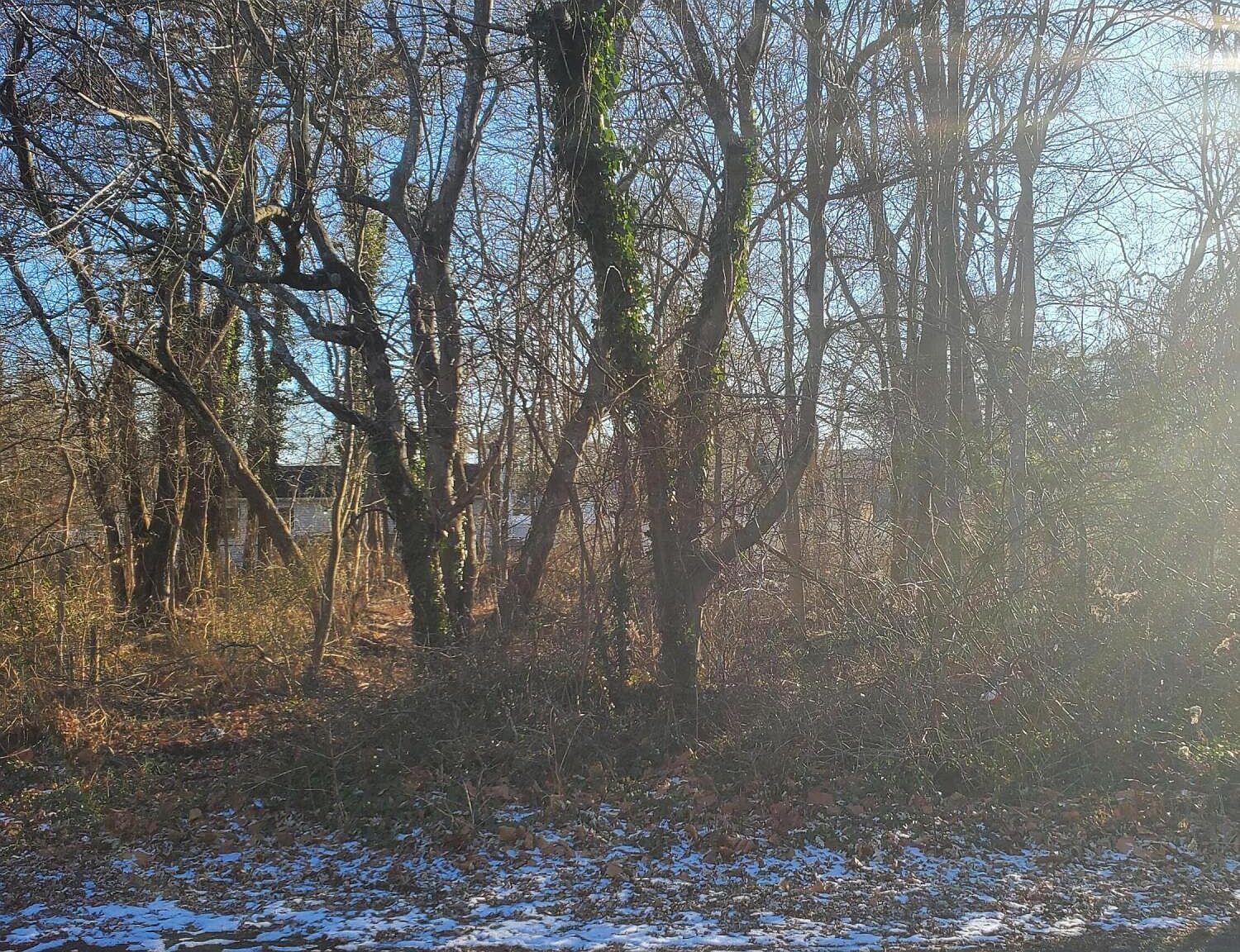 12 Mizzen Way Waretown, NJ 08758 - Thumbnail 4