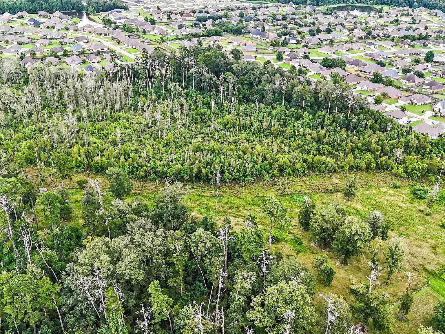 13231 Hammack Rd Denham Springs, LA 70726 - Thumbnail 4