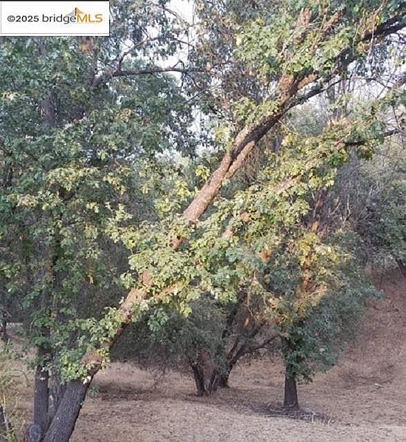 21473 Greenoaks Ct Sonora, CA 95370 - Thumbnail 4